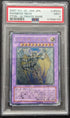 PSA 9 Regenbogen- Rainbow Neos Ultimate Rare PTDN-JP044 Yu-Gi-Oh Japanese