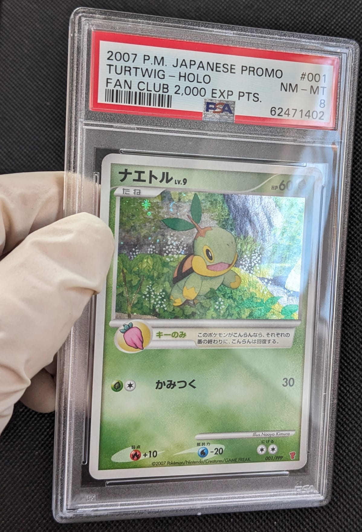 PSA 8 + Holo Swirl Chelast Lv. 9 Turtwig 001/PPP Play Promo 2007 Fan Club 2000 EXP Points Pokemon Karte Japanese