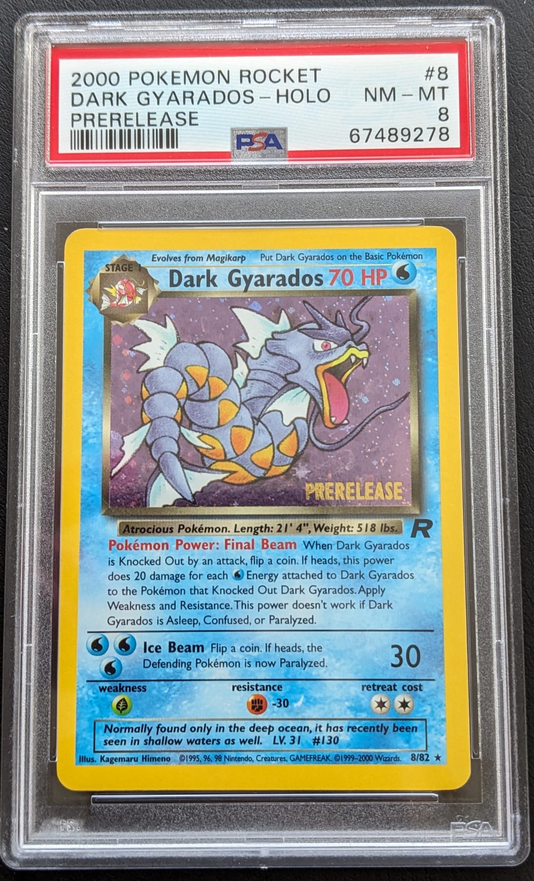 PSA 8 Prerelease Dunkles Garados 8/82 Dark Gyarados Holo Team Rocket Pokemon English