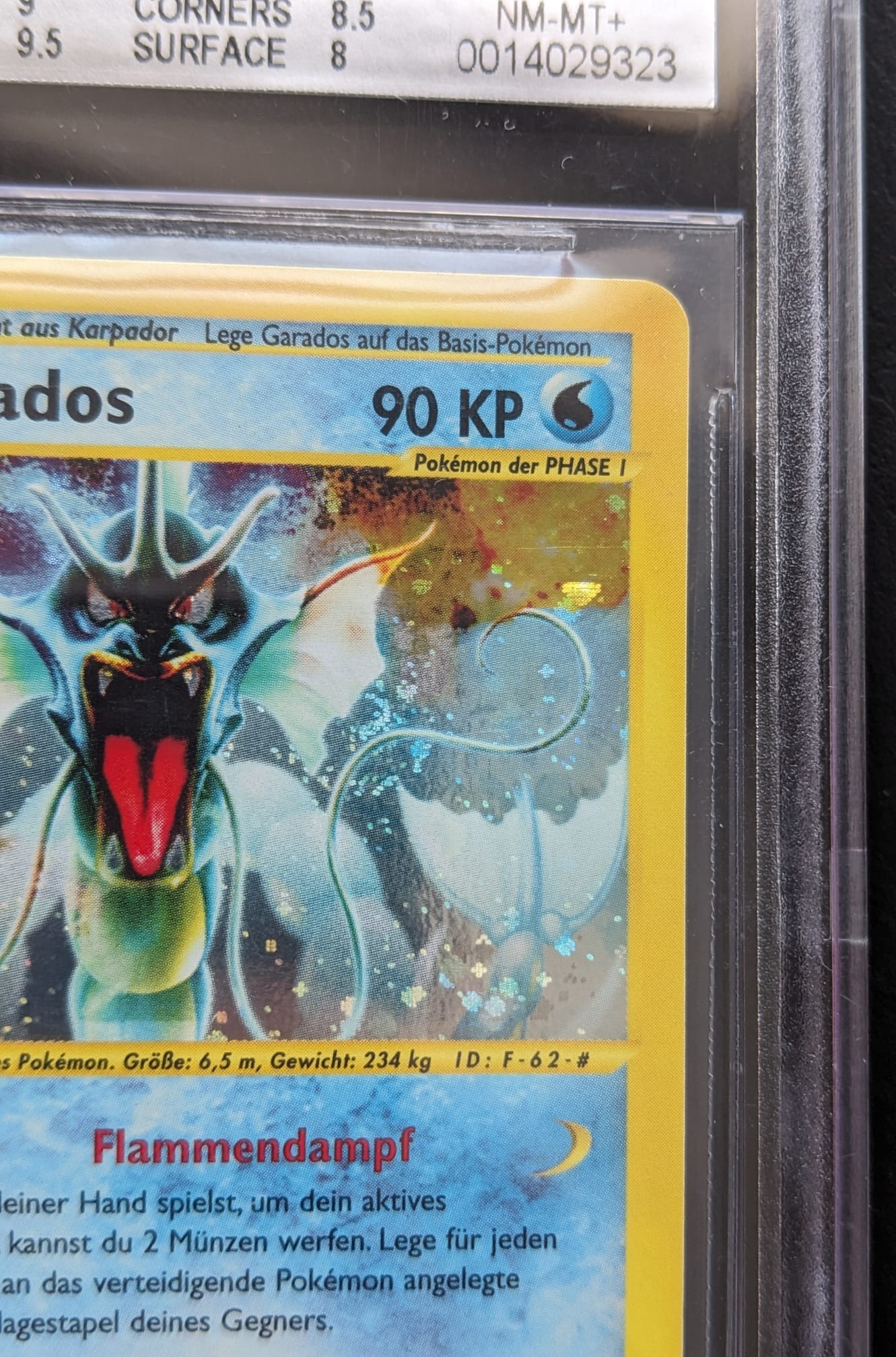 🌀 🇩🇪BGS 8,5 Holo Swirl Garados H10/H32 Gyarados Skyridge Pokemon Karte Deutsch