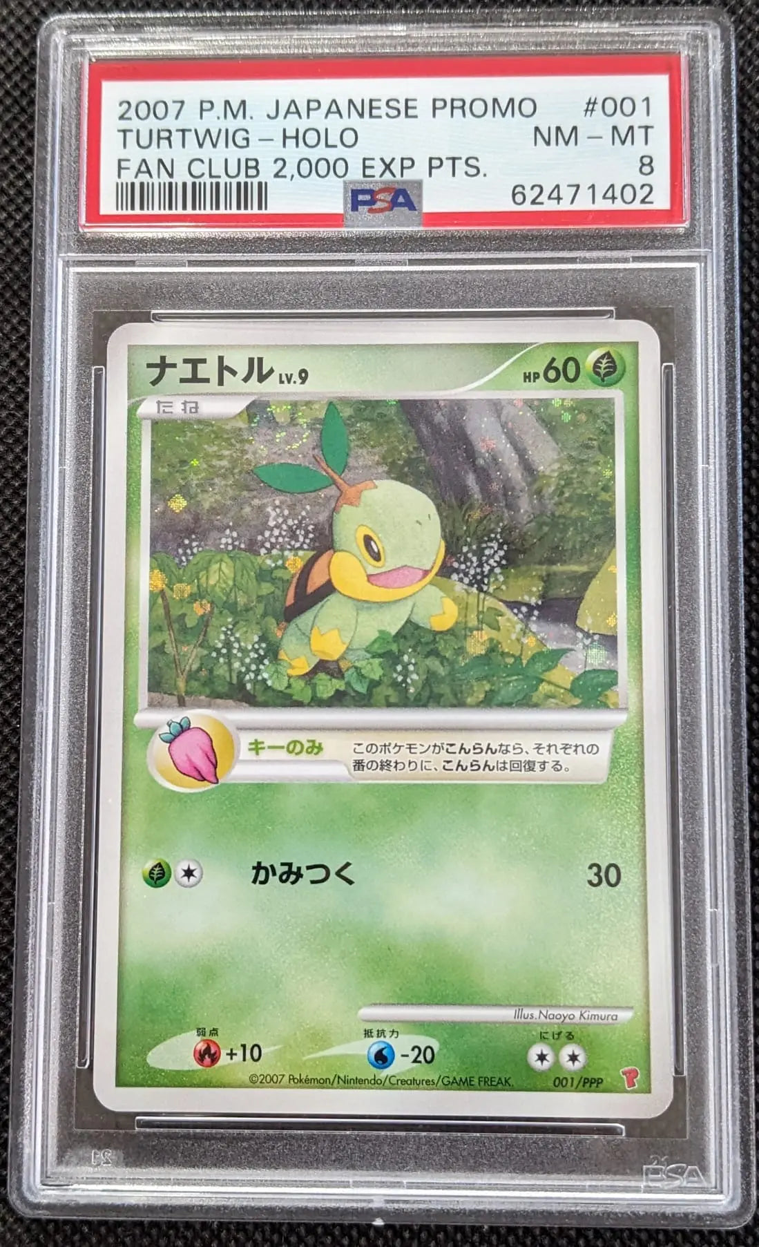 PSA 8 + Holo Swirl Chelast Lv. 9 Turtwig 001/PPP Play Promo 2007 Fan Club 2000 EXP Points Pokemon Karte Japanese - Image #1