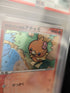 PSA 9 Pokepark's Flemmli Torchic Pokepark Forest Holo 2005 Pokemon karte Japanese